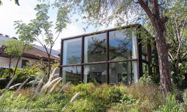 Patom Organic Living