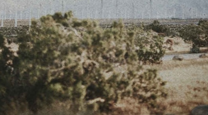 Waylon Wyatt & Wyatt Flores Sing In Solidarity On “Didn’t Forget”