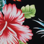 HP001 - Design001