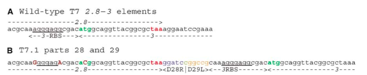 Local design process. Overlapping sequences are shifted such that no encoding region overlaps another. [3]