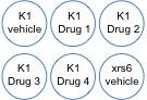 Plating schematic for irradiation assay. Each team will prepare 4 different concentrations of drug + 2 vehicle controls.