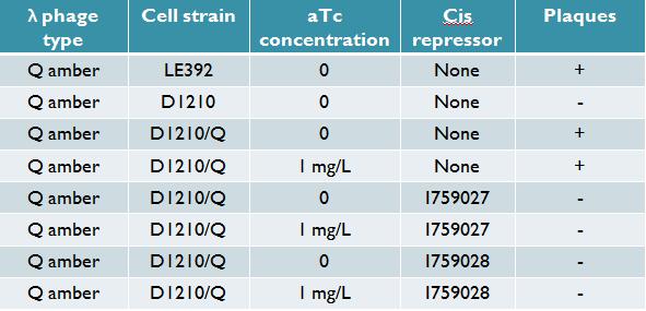 Titering results for Q construct without cis repressor