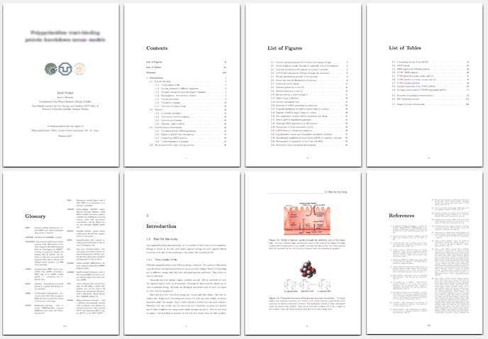 best latex phd thesis template