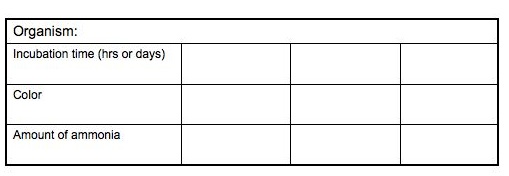 AmmonificationTable1.jpg