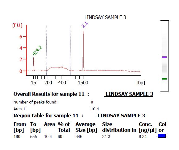 Expected bioanalyzer results on RADseq libraries using this protocol