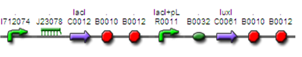 InverTimer BioBrick