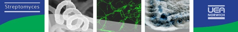 Streptomyces @ UEA