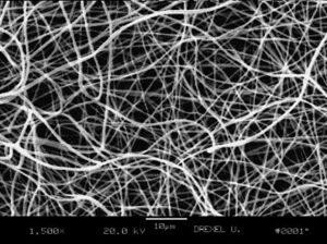 SEM image of PLGA fibers.