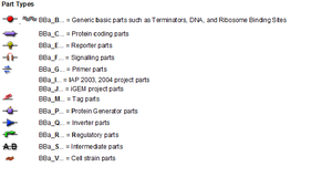 A list of the letters used in naming the types of BioBrick parts.