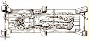 Treating Spinal Cord Injuries with Stem Cells, by Lauren Timmins and