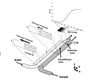 The sample channel meets the buffer channel and the sample can diffuse into the buffer over the length L. Then the fluid hits a sensor, where the diffusion gradient is imaged.