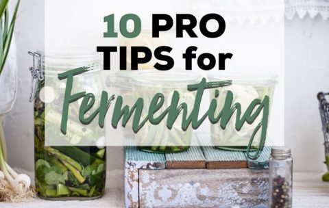 10 Pro Tips for Fermenting (Plus 8 Recipes)