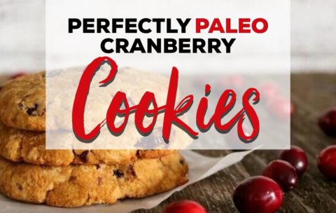 Perfectly Paleo Cranberry Cookies (Dairy-Free, Grain-Free)