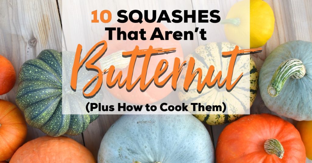 butternut-1024x536.jpg