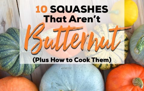 10 Squashes That Aren’t Butternut (Plus How to Cook Them To Perfection)