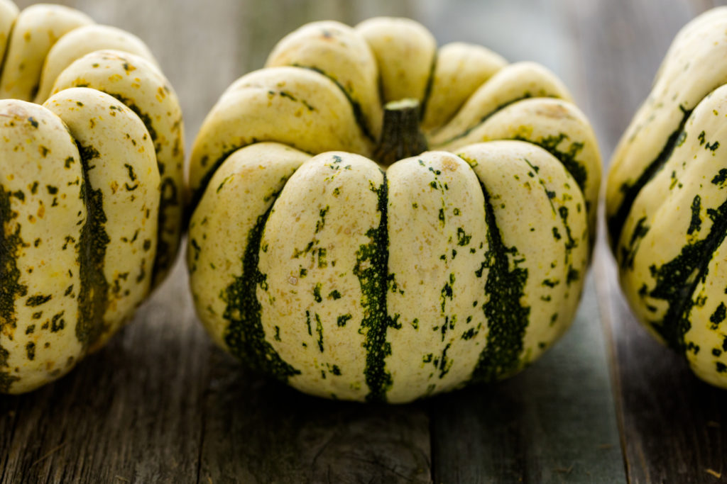 sweet-dumpling-1024x683.jpg