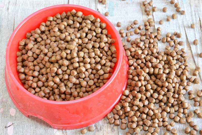 Dog-food-in-red-bowl.jpg