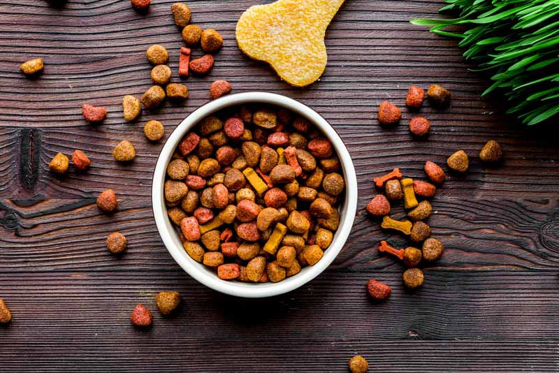 Attention Pet Lovers Avoid These 12 Toxic Ingredients in Dog Food
