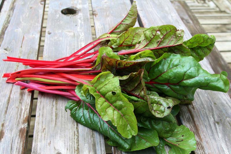 Swiss-chard.jpg