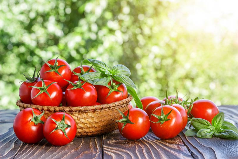 Cherry-tomatoes.jpg