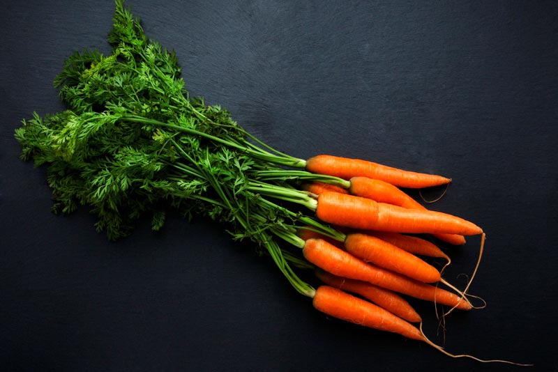 Organic-carrots-picked-from-garden.jpg