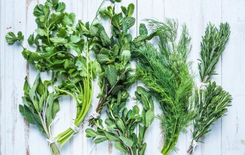 Use This Herb Guide To Spice Up Even The Most Boring Dishes