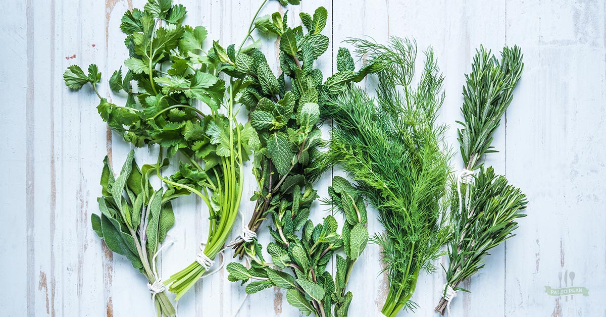 Use This Herb Guide To Spice Up Even The Most Boring Dishes