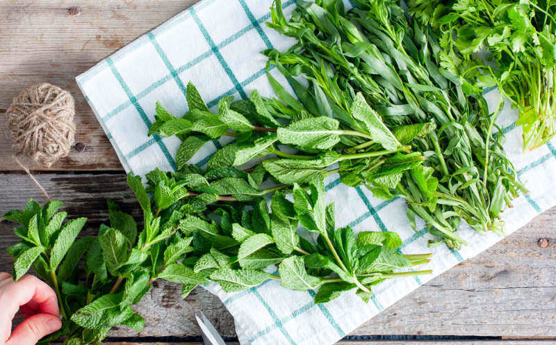 rsz_1cleaning_herbs.jpg