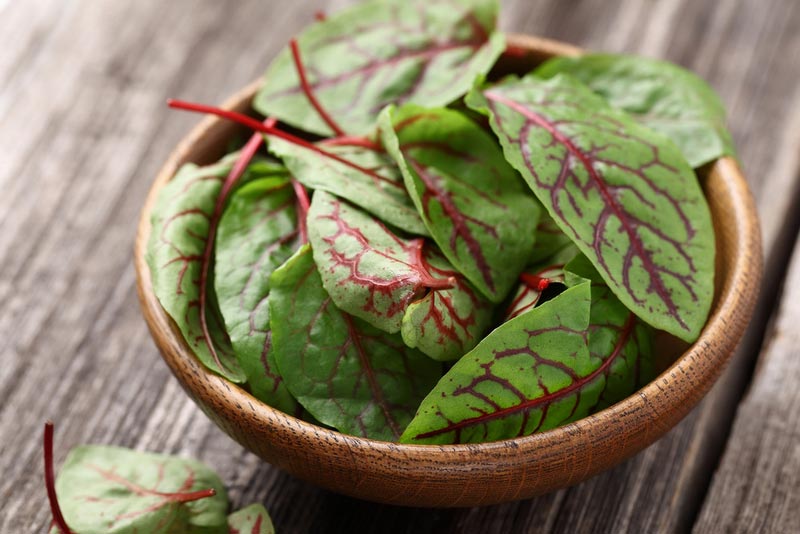 Beet-leaves-in-a-wooden-plate.jpg