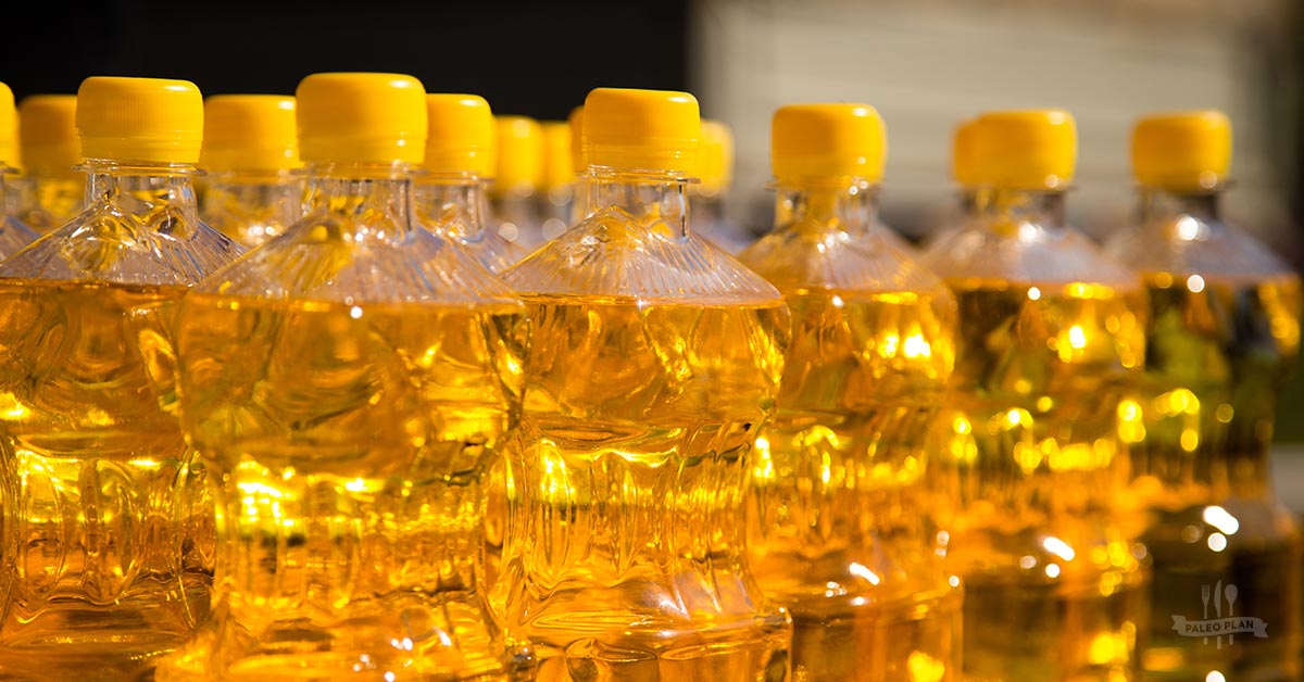 Canola-Oil-Linked-to-Dementia-Weight-Gain.jpg