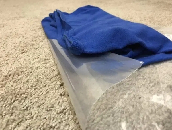 Vacuum Seal Yes Or No