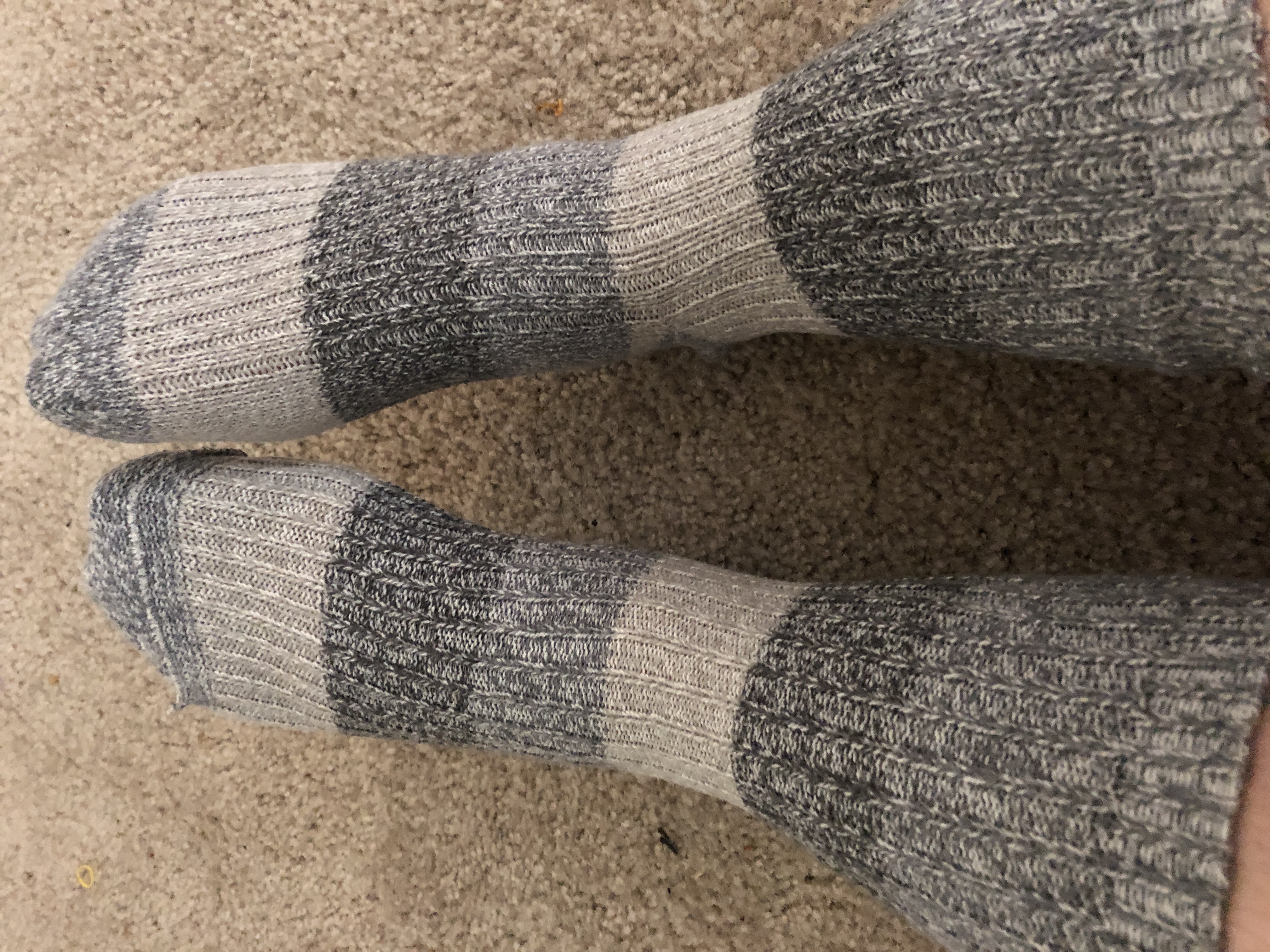 Smelly socks Scented Pansy