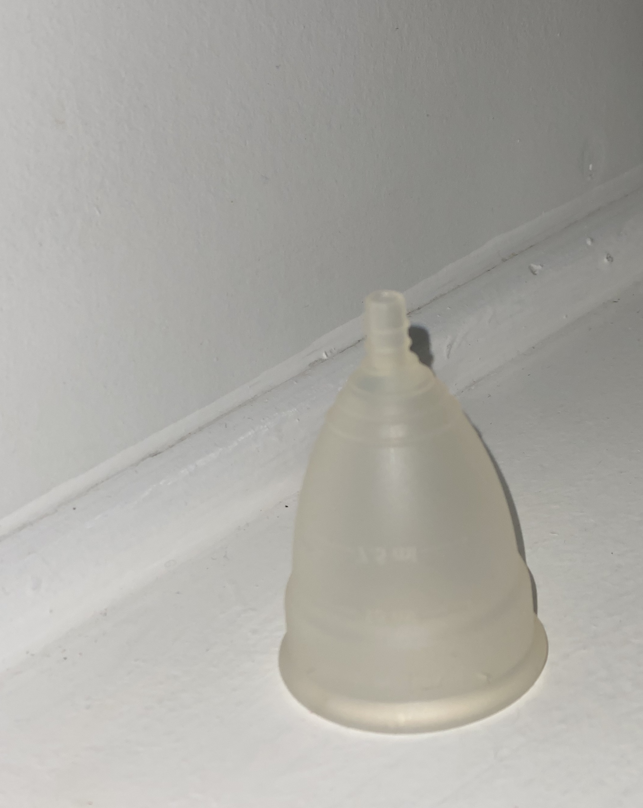 Diva Cup used for one year Scented Pansy