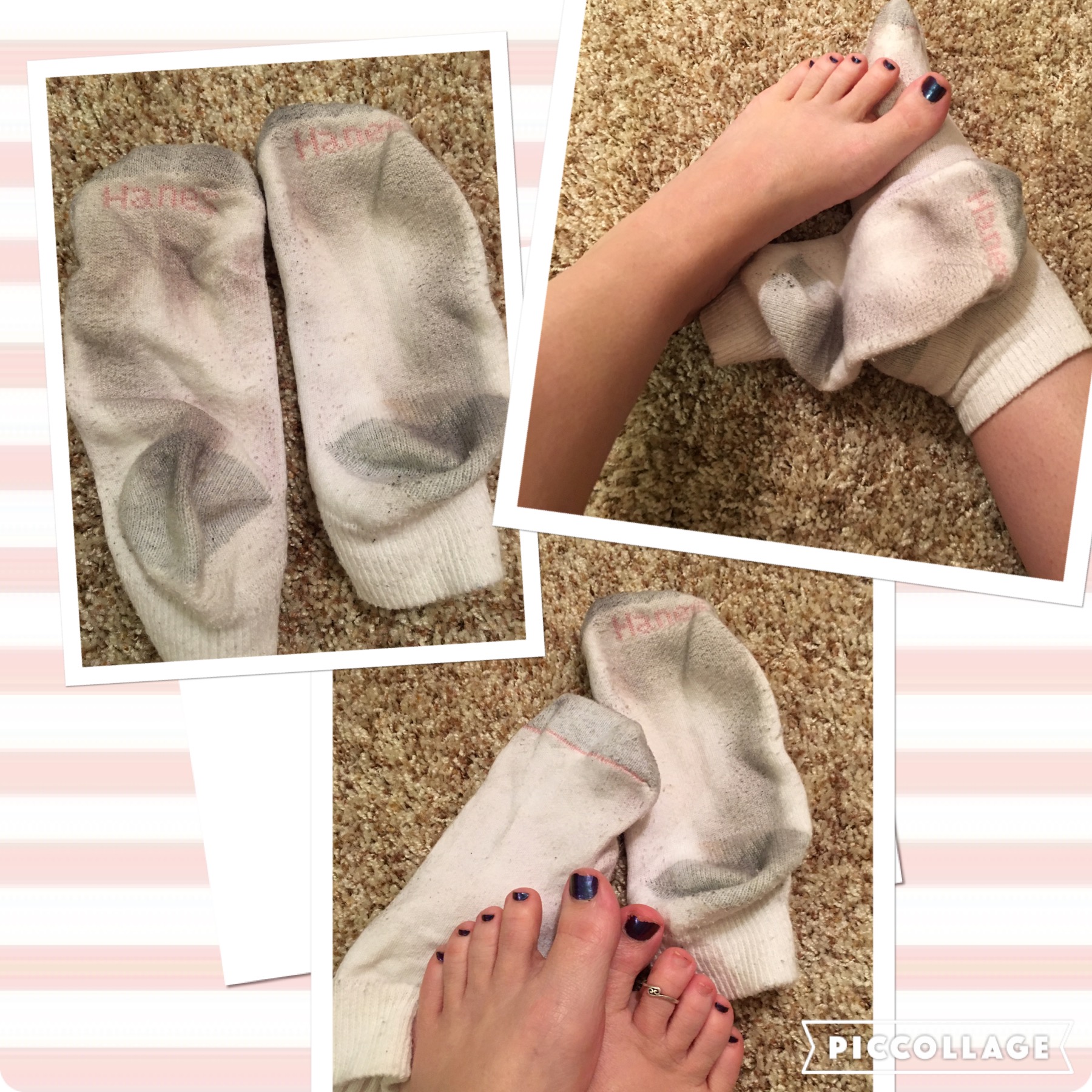 Dirty and Smelly Hanes Cotton Socks Scented Pansy