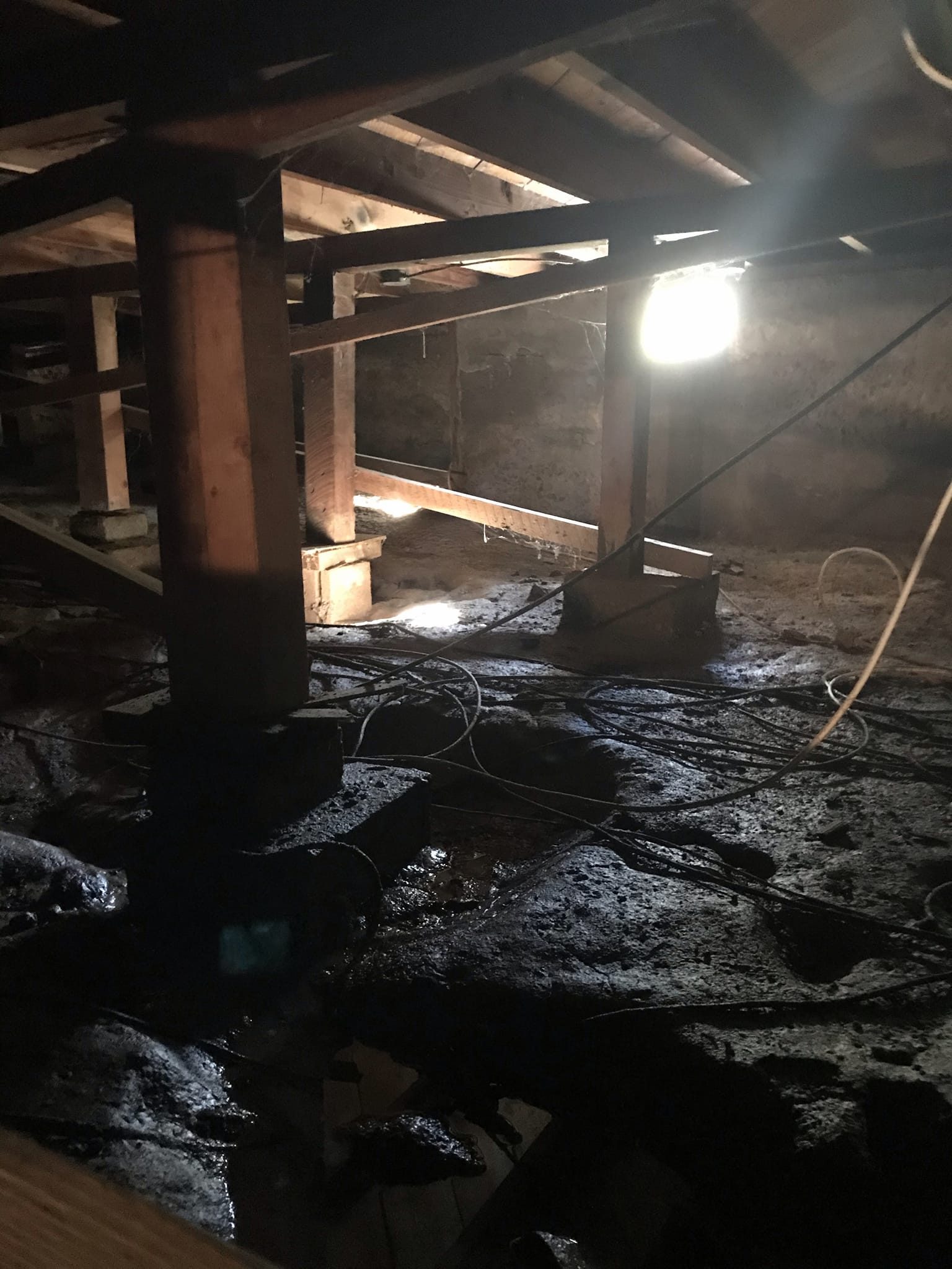 Replace Electric Water Heater in Basement ASAP Drain Guys & Plumbing