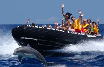 Product Big Island Morning Half Day Expedition