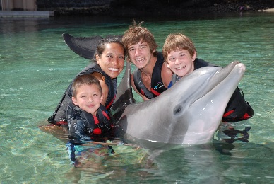 Product Dolphin Family &amp; Friends