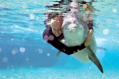 Product Dolphin Quest Deluxe Encounter