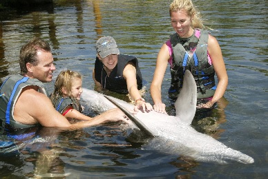 Product Family Swim Program At Dolphin Quest