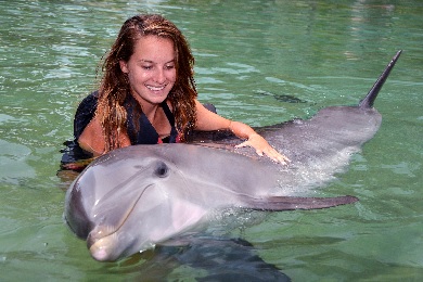 Product Premiere Experience At Dolhpin Quest