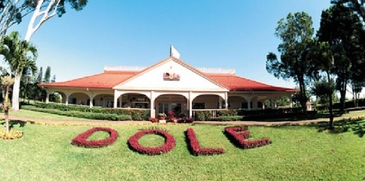 Product Majestic Circle Island