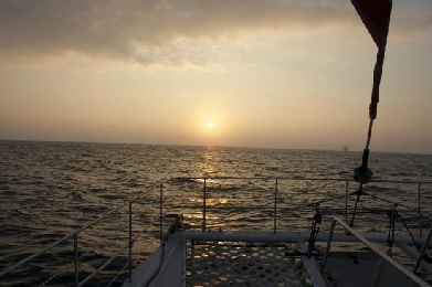 Product Big Island of Hawaii Manta Ray Snorkel