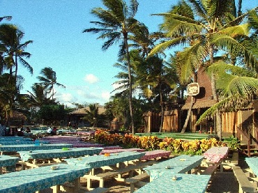 Product Germaine's Luau - Plumeria Package