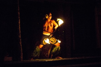 Product Germaine's Luau - Plumeria Package