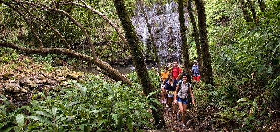 Product Waterfall Tour: Kohala Waterfalls Adventure
