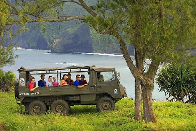 Product Waterfall Tour: Kohala Waterfalls Adventure