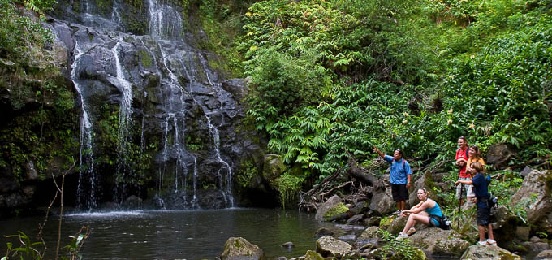 Product Waterfall Tour: Kohala Waterfalls Adventure