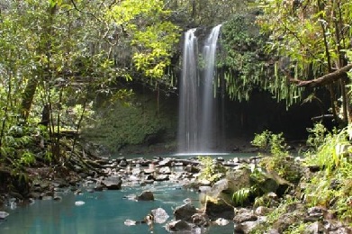 Product  Waterfall and Rainforest Hike East Maui 