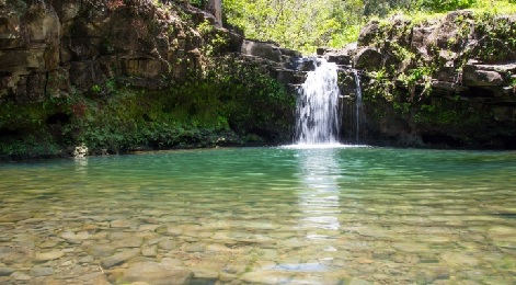 Product East Maui Waterfall and Rainforest Hike With Hotel Pick Up