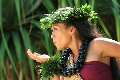 Product Island Breeze Luau